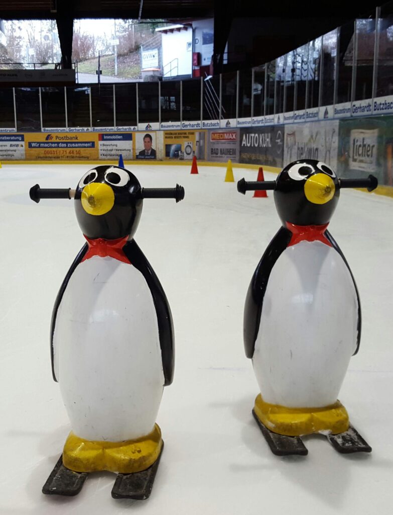 Eisstadion Bad Nauheim, Winter, Spaß auf dem Eis